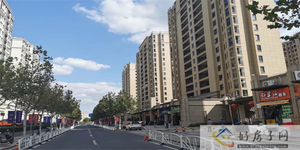 2023上海第二轮宅地土拍下半场即将起拍！上海云湖壹号值得购买吗？            </h1>(图5)